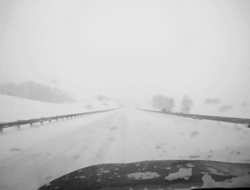 this-is-winter this is winter